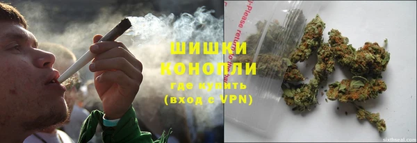 индика Зерноград