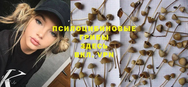 спайс Губаха