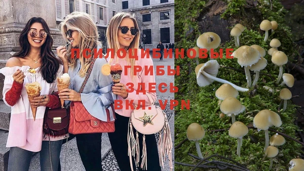 индика Зерноград