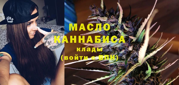 индика Зерноград