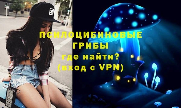 индика Зерноград