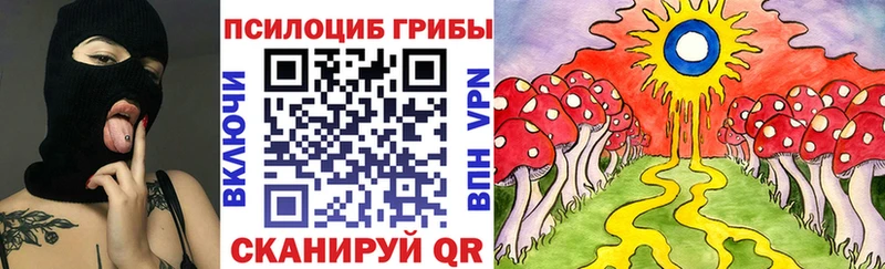 хочу наркоту Кандалакша Псилоцибиновые грибы Psilocybine cubensis
