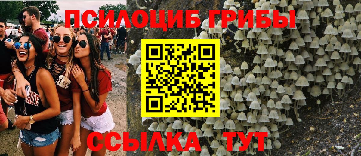Кандалакша  Галлюциногенные грибы мицелий  Галлюциногенные грибы мухоморы  Вход с VPN 